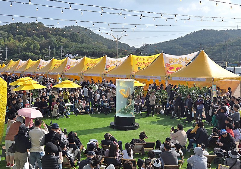 고흥유자축제 유자테마파크 공연